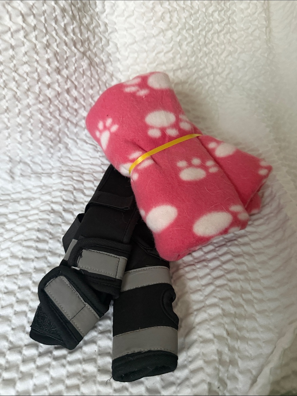 Pet bundle- Leg support straps and a pink blanket